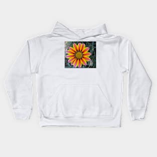 Gazania 4 Kids Hoodie